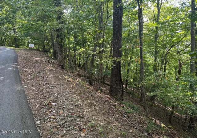 Photo 3 of Land for sale at 18 Mason Way, Murphy, NC 28906 | MLS# 100602730 | Listing updated on 2026-09-10