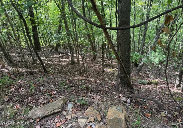 Photo 4 of Land for sale at 18 Mason Way, Murphy, NC 28906 | MLS# 100602730 | Listing updated on 2026-09-10