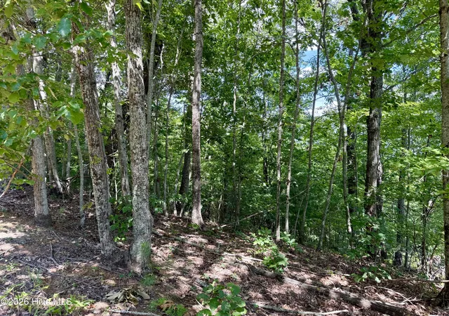 Photo 2 of Land for sale at 9 Sahkanaga Dr, Murphy, NC 28906 | MLS# 100600697 | Listing updated on 2026-09-03