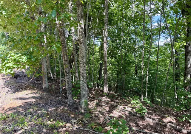 Photo 3 of Land for sale at 9 Sahkanaga Dr, Murphy, NC 28906 | MLS# 100600697 | Listing updated on 2026-09-03