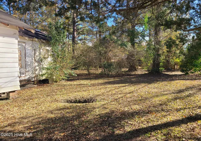 Photo 4 of Single family home for sale at 313 W Williams St, Burgaw, NC 28425 | MLS# 100601958 | Listing updated on 2026-09-08