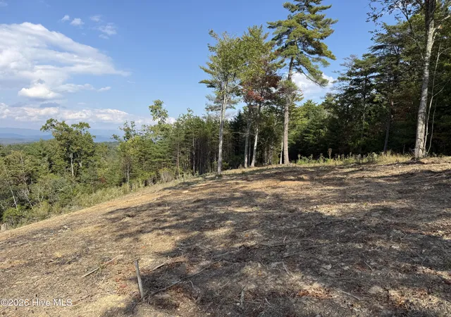 Photo 2 of Land for sale at 7 Avalon Crst St, Murphy, NC 28906 | MLS# 100596885 | Listing updated on 2026-10-20