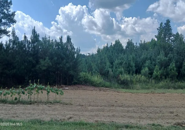 Photo 2 of Land for sale at 2 Taylors Gin Rd, Castalia, NC 27816 | MLS# 100601532 | Listing updated on 2026-09-04