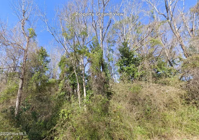 Photo 3 of Land for sale at 0 Lake St, Midway Park, NC 28544 | MLS# 100602926 | Listing updated on 2026-09-28