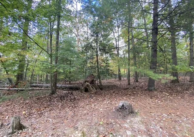 Photo 2 of Land for sale at 14 Mission Ridge, Hayesville, NC 28904 | MLS# 100610993 | Listing updated on 2026-10-17