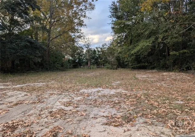 Photo 1 of Land for sale at 121 Roberts St, Savannah, GA 31408 | MLS# SA344029 | Listing updated on 2026-09-10