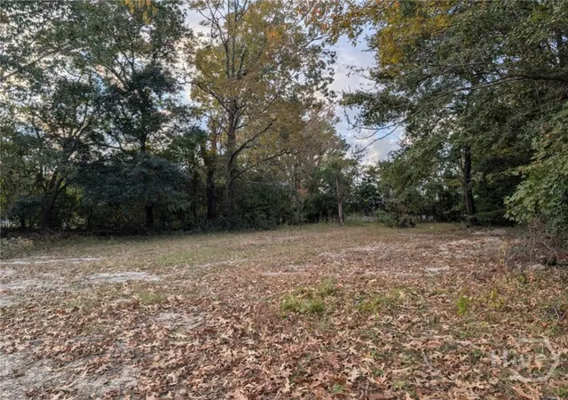 Photo 3 of Land for sale at 121 Roberts St, Savannah, GA 31408 | MLS# SA344029 | Listing updated on 2026-09-10