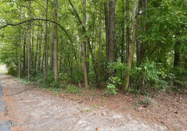 Photo 3 of Land for sale at 134 Bellhaven Dr, Carthage, NC 28327 | MLS# 100608306 | Listing updated on 2026-10-16
