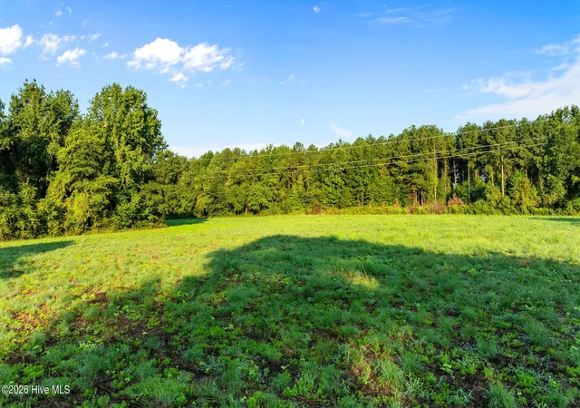 Photo 3 of Land for sale at 0 Old Smith Chapel Rd, Mount Olive, NC 28365 | MLS# 100600852 | Listing updated on 2026-09-10