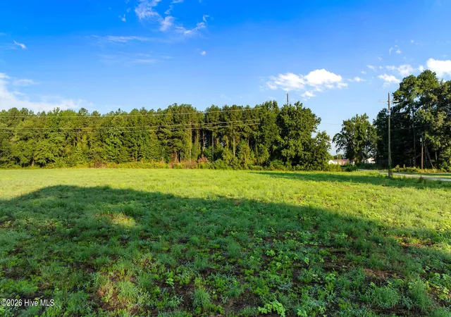 Photo 4 of Land for sale at 0 Old Smith Chapel Rd, Mount Olive, NC 28365 | MLS# 100600852 | Listing updated on 2026-09-10