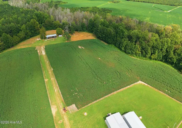 Photo 1 of Land for sale at 1811 Cannon Rd, Hobgood, NC 27843 | MLS# 100601155 | Listing updated on 2026-09-08