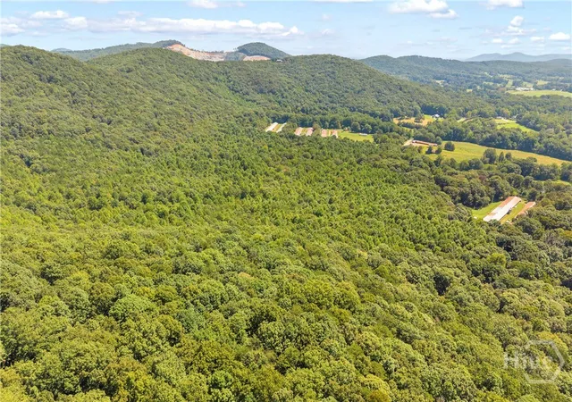 Photo 3 of Land for sale at 0 W Highway 115, Cleveland, GA 30528 | MLS# CL363971 | Listing updated on 2026-09-04