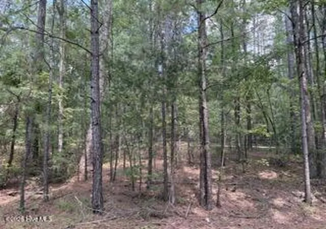 Photo 1 of Land for sale at 136 Cooper Dr, Mc Cormick, SC 29835 | MLS# 100600667 | Listing updated on 2026-09-10