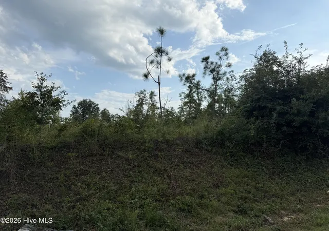 Photo 2 of Land for sale at 1576 Hephzibah Mcbean Rd, Hephzibah, GA 30815 | MLS# 100603540 | Listing updated on 2026-09-15