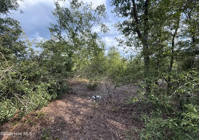 Photo 3 of Land for sale at 1576 Hephzibah Mcbean Rd, Hephzibah, GA 30815 | MLS# 100603540 | Listing updated on 2026-09-15