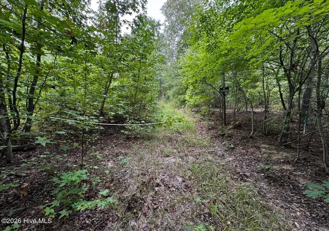 Land for sale at 00 Gabe Rd, Saluda, SC 29138 | MLS# 100609162
