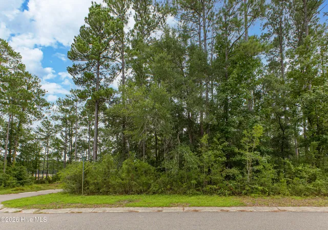 Photo 1 of Land for sale at 889 Pantego Blvd SE, Bolivia, NC 28422 | MLS# 100600884 | Listing updated on 2026-09-02