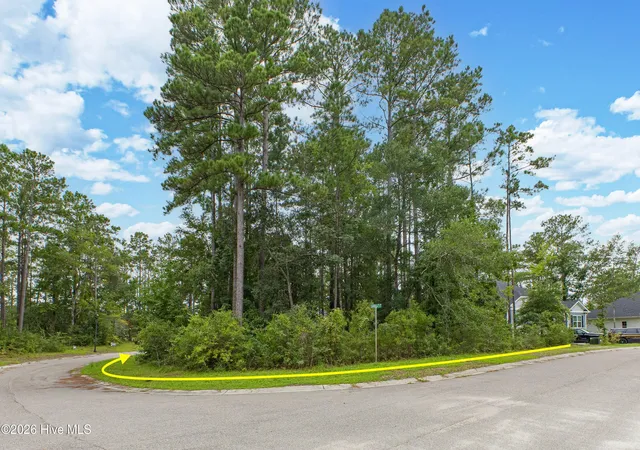 Photo 2 of Land for sale at 889 Pantego Blvd SE, Bolivia, NC 28422 | MLS# 100600884 | Listing updated on 2026-09-02