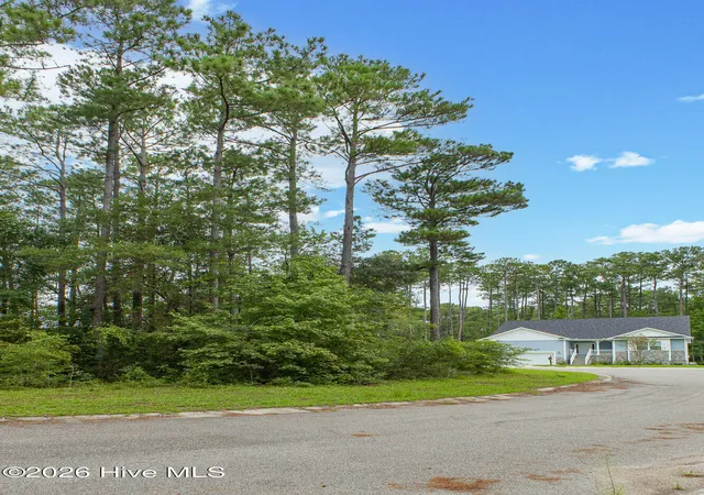 Photo 4 of Land for sale at 889 Pantego Blvd SE, Bolivia, NC 28422 | MLS# 100600884 | Listing updated on 2026-09-02