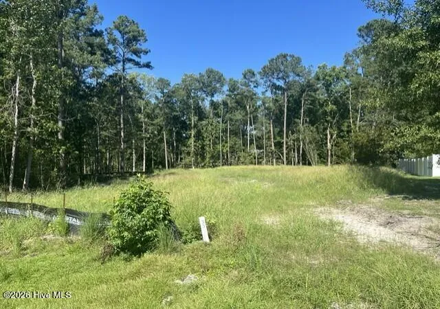 Photo 1 of Land for sale at 306 Joans Ridge, Stella, NC 28582 | MLS# 100601800 | Listing updated on 2026-09-08