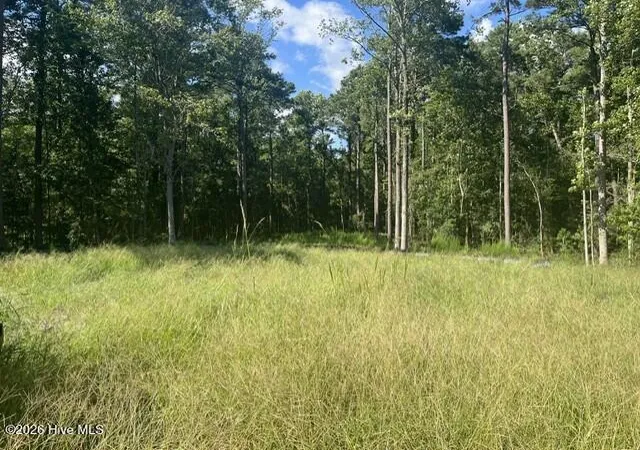 Photo 2 of Land for sale at 306 Joans Ridge, Stella, NC 28582 | MLS# 100601800 | Listing updated on 2026-09-08