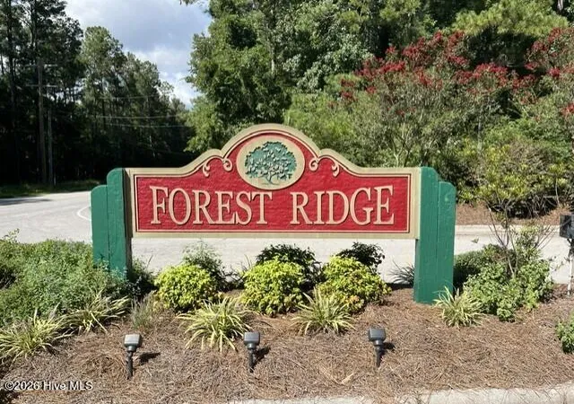 Photo 3 of Land for sale at 306 Joans Ridge, Stella, NC 28582 | MLS# 100601800 | Listing updated on 2026-09-08