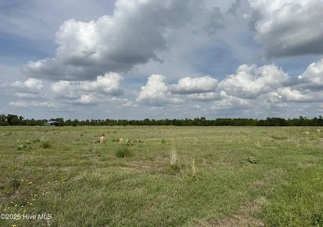Photo 2 of Land for sale at Tract 2 Mcgirt Rd, Maxton, NC 28364 | MLS# 100601006 | Listing updated on 2026-09-03