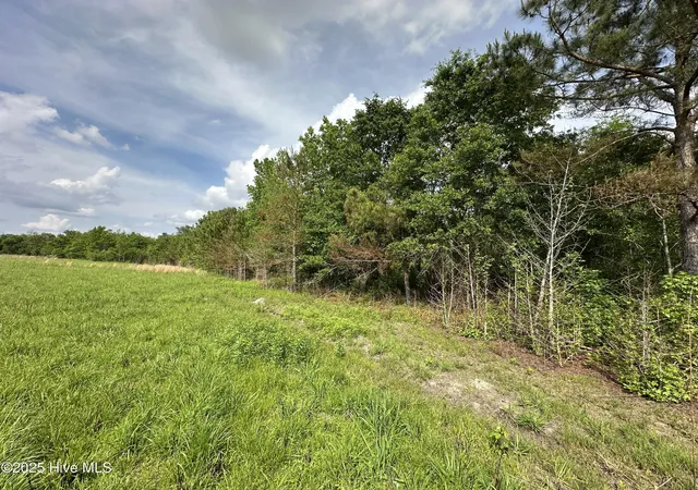 Photo 3 of Land for sale at Tract 2 Mcgirt Rd, Maxton, NC 28364 | MLS# 100601006 | Listing updated on 2026-09-03