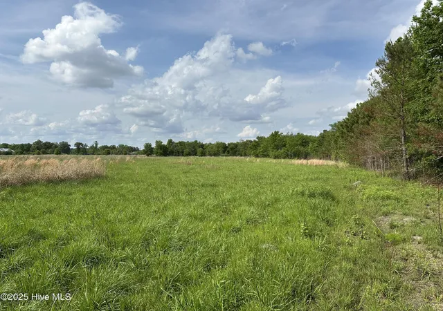 Photo 4 of Land for sale at Tract 2 Mcgirt Rd, Maxton, NC 28364 | MLS# 100601006 | Listing updated on 2026-09-03