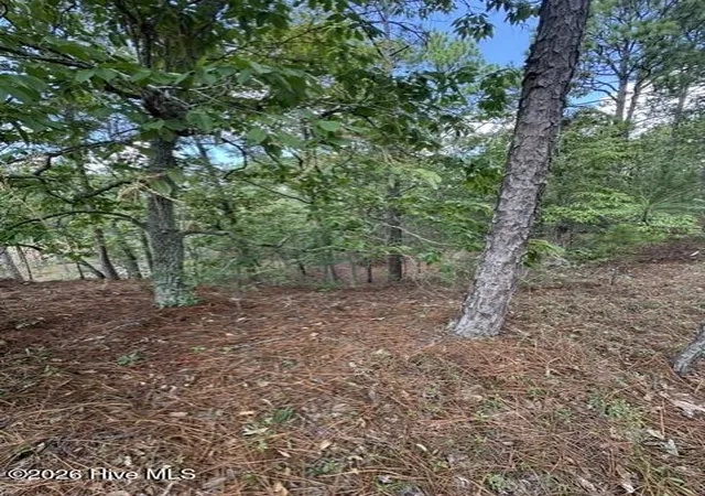 Photo 3 of Land for sale at 106 Parker Ct, West End, NC 27376 | MLS# 100536879 | Listing updated on 2026-10-15