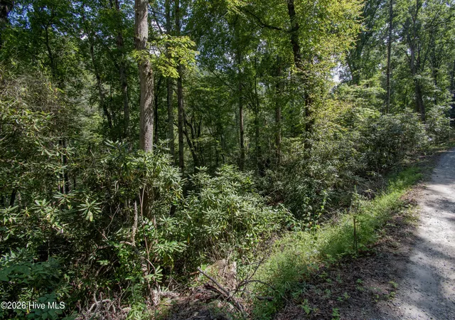 Photo 1 of Land for sale at 8 Snowbird Woods Rd, Robbinsville, NC 28771 | MLS# 100601943 | Listing updated on 2026-09-16