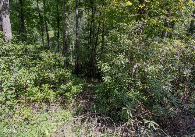 Photo 2 of Land for sale at 8 Snowbird Woods Rd, Robbinsville, NC 28771 | MLS# 100601943 | Listing updated on 2026-09-16
