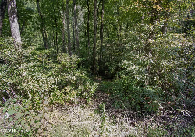 Photo 3 of Land for sale at 8 Snowbird Woods Rd, Robbinsville, NC 28771 | MLS# 100601943 | Listing updated on 2026-09-16