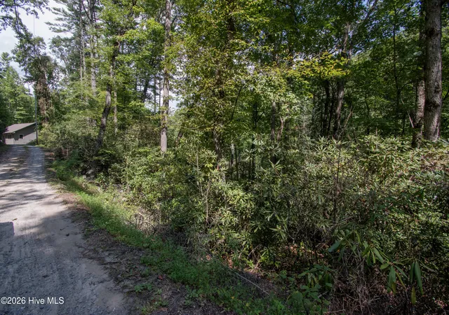 Photo 3 of Land for sale at 8 Snowbird Woods Rd, Robbinsville, NC 28771 | MLS# 100601943 | Listing updated on 2026-09-16