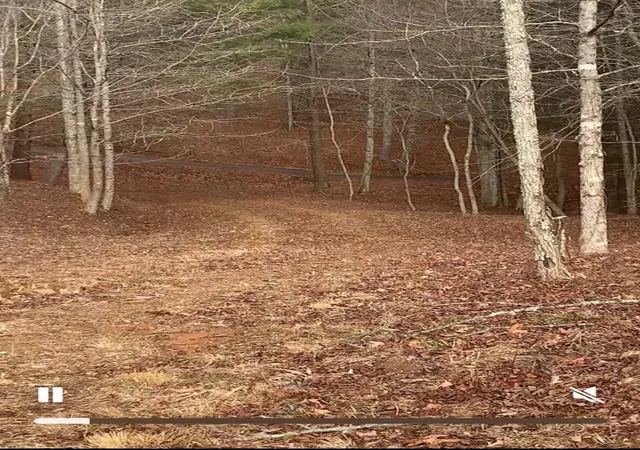 Photo 2 of Land for sale at 16 Merlin Trl, Murphy, NC 28906 | MLS# 98544618 | Listing updated on 2026-09-04