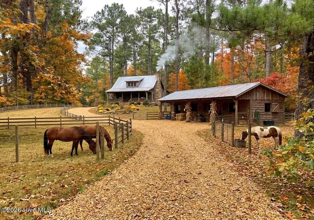 Photo 2 of Land for sale at 0 Nc Hwy 210 Rd, Currie, NC 28435 | MLS# 100591122 | Listing updated on 2026-09-10