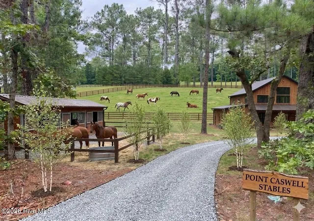 Photo 3 of Land for sale at 0 Nc Hwy 210 Rd, Currie, NC 28435 | MLS# 100591122 | Listing updated on 2026-09-10