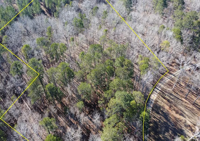 Photo 3 of Land for sale at 0 Forest Lake Dr, Lincolnton, GA 30817 | MLS# 100601978 | Listing updated on 2026-09-23