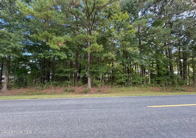Photo 1 of Land for sale at Tbd Tinkham Rd, Eure, NC 27935 | MLS# 100610177 | Listing updated on 2026-10-16
