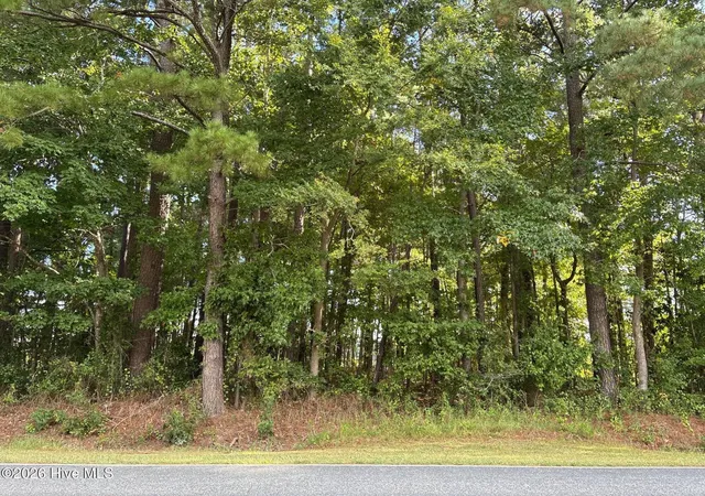 Photo 2 of Land for sale at Tbd Tinkham Rd, Eure, NC 27935 | MLS# 100610177 | Listing updated on 2026-10-16