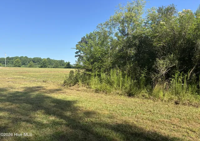 Photo 3 of Land for sale at 4676 Pleasant Plains Church Rd, Whiteville, NC 28472 | MLS# 100602189 | Listing updated on 2026-09-09