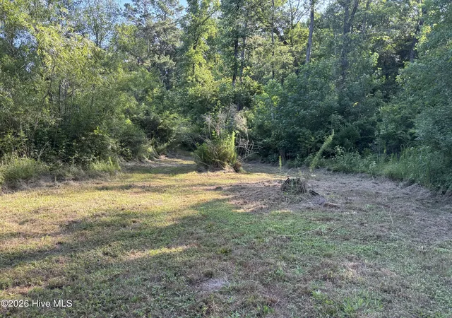Photo 3 of Land for sale at 4676 Pleasant Plains Church Rd, Whiteville, NC 28472 | MLS# 100602189 | Listing updated on 2026-09-09