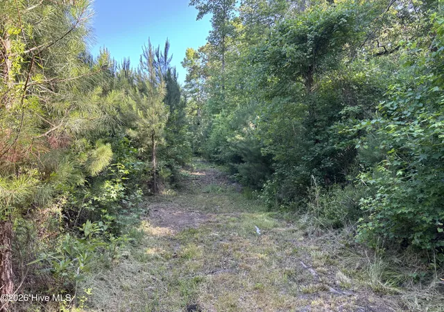 Photo 4 of Land for sale at 4676 Pleasant Plains Church Rd, Whiteville, NC 28472 | MLS# 100602189 | Listing updated on 2026-09-09