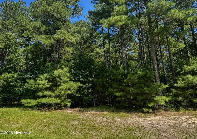Photo 3 of Land for sale at 732 Batts Is Rd, Edenton, NC 27932 | MLS# 100600495 | Listing updated on 2026-09-01