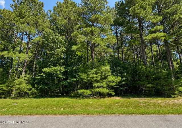 Photo 3 of Land for sale at 732 Batts Is Rd, Edenton, NC 27932 | MLS# 100600495 | Listing updated on 2026-09-01