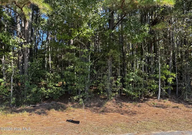 Photo 1 of Land for sale at 20 Deer Trak Dr, Clinton, NC 28328 | MLS# 100610555 | Listing updated on 2026-10-15