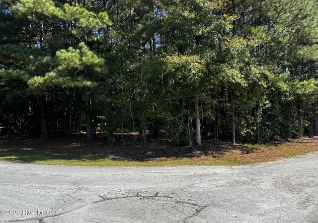 Photo 2 of Land for sale at 20 Deer Trak Dr, Clinton, NC 28328 | MLS# 100610555 | Listing updated on 2026-10-15