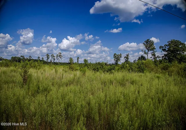 Land for sale at 15 Mitchell Rd, Fairmont, NC 28340 | MLS# 100600464