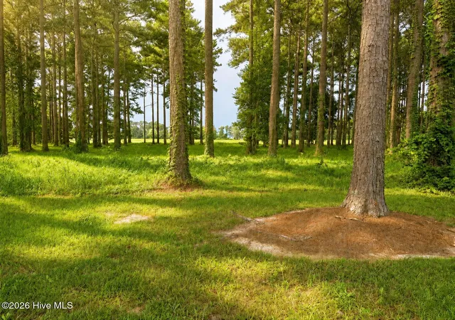 Photo 3 of Land for sale at 159 Frying Pan, Oriental, NC 28571 | MLS# 100601766 | Listing updated on 2026-09-08