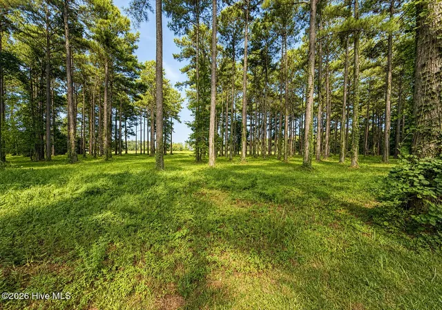 Photo 3 of Land for sale at 159 Frying Pan, Oriental, NC 28571 | MLS# 100601766 | Listing updated on 2026-09-08